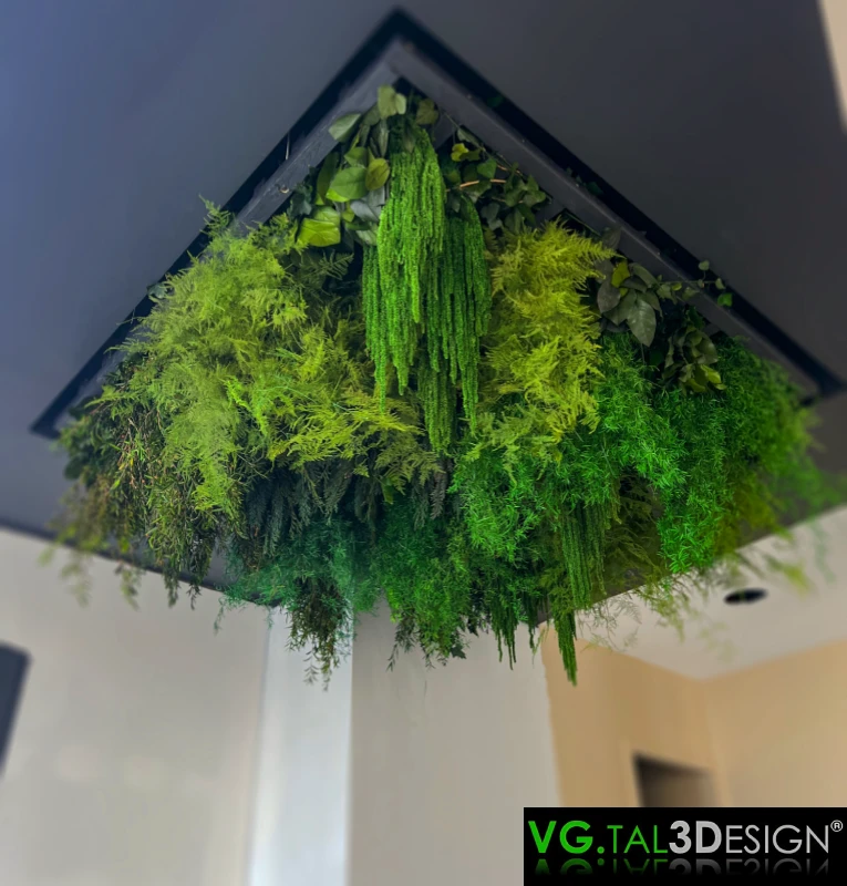 佛罗伦萨私人别墅内的永生型植物天花板,主视图